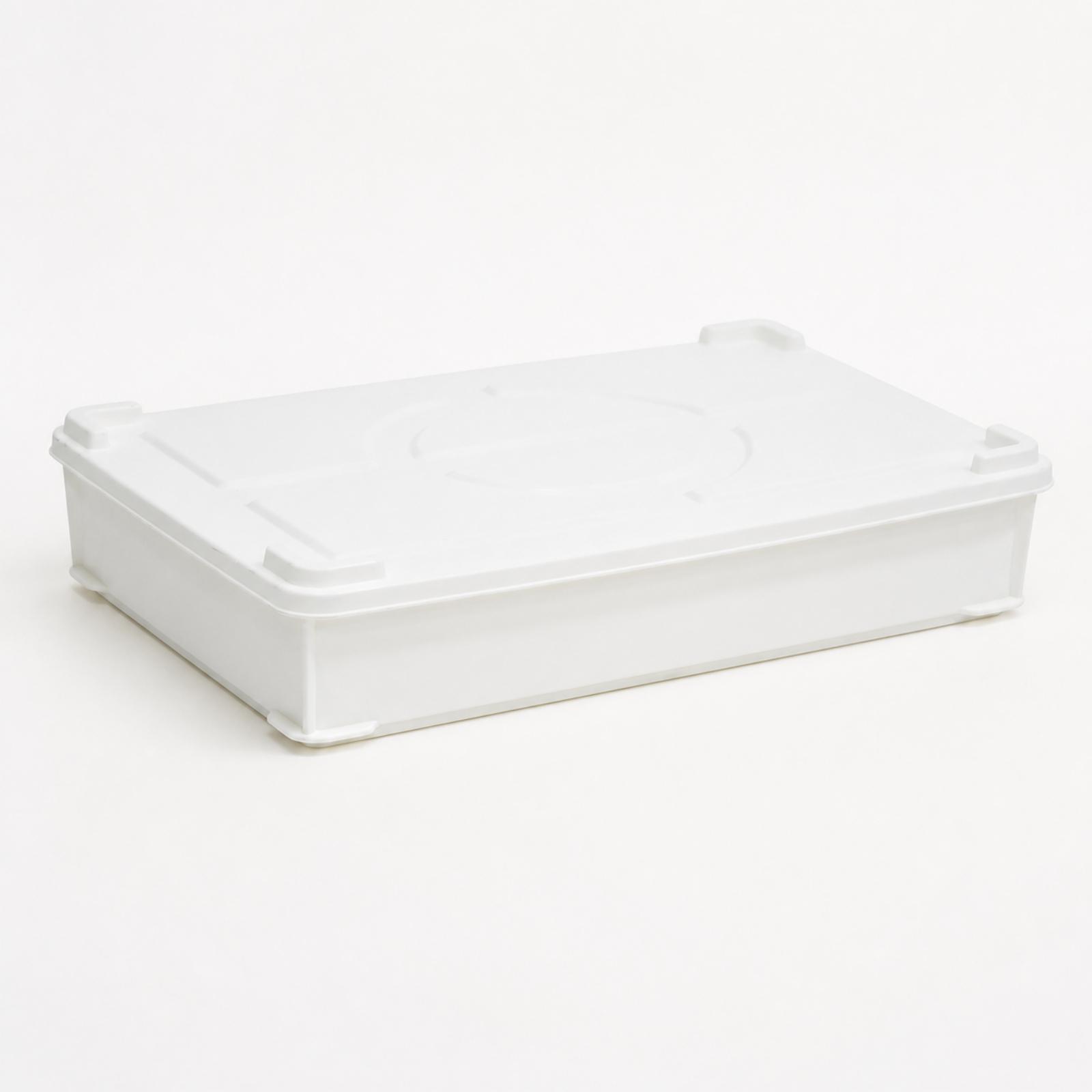 HDPE-Gärbox für Teig, Brot-Gär – Food Storage Containers Bewertung und Preis