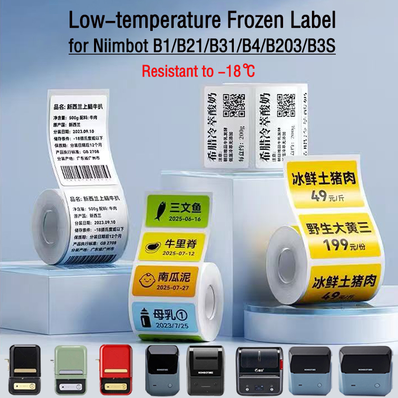 NIIMBOT B1/B2/B21/B31/B4/B203/ – Food Storage Labels Bewertung und Preis